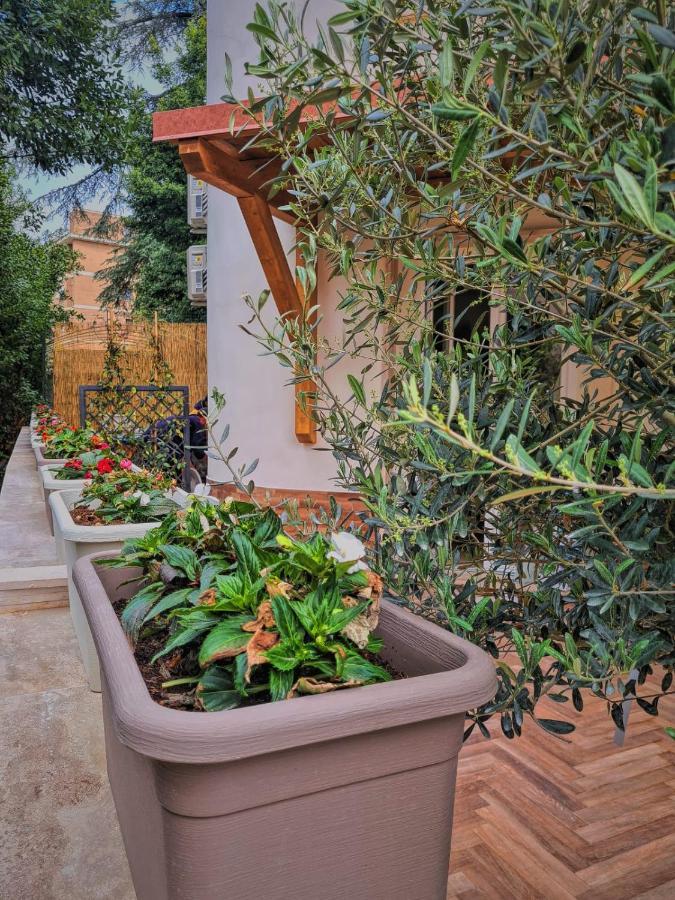 فندق Luxury Cecilia Via Antonio Del Re 9 تيفولي المظهر الخارجي الصورة
